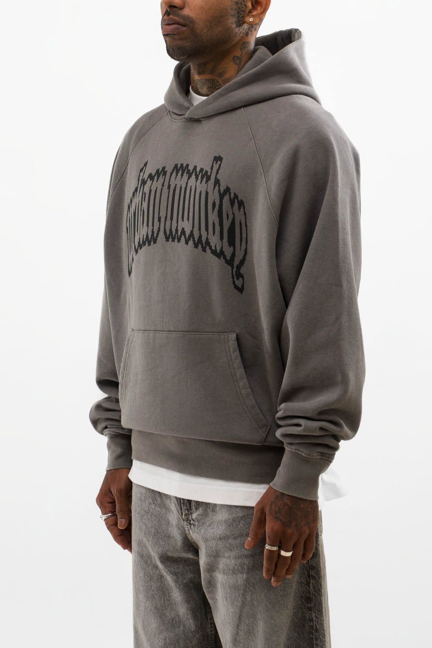 Legacy Hoodie // 002 - Urban Monkey® - UM23A_HS_W002A_XS