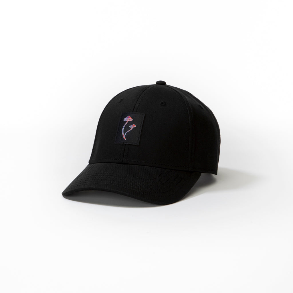 Magic Mushrooms // 001 Urban Monkey
