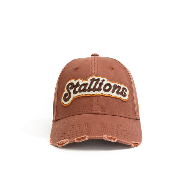 Stallions_By Bhaukal - Urban Monkey® - 25DCKSD004OR