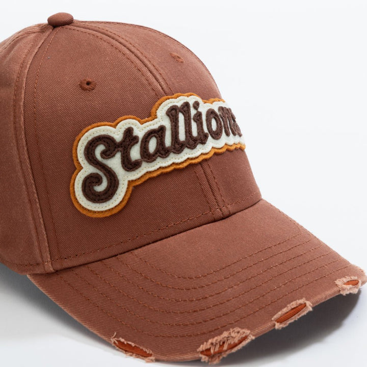 Stallions_By Bhaukal - Urban Monkey® - 25DCKSD004OR