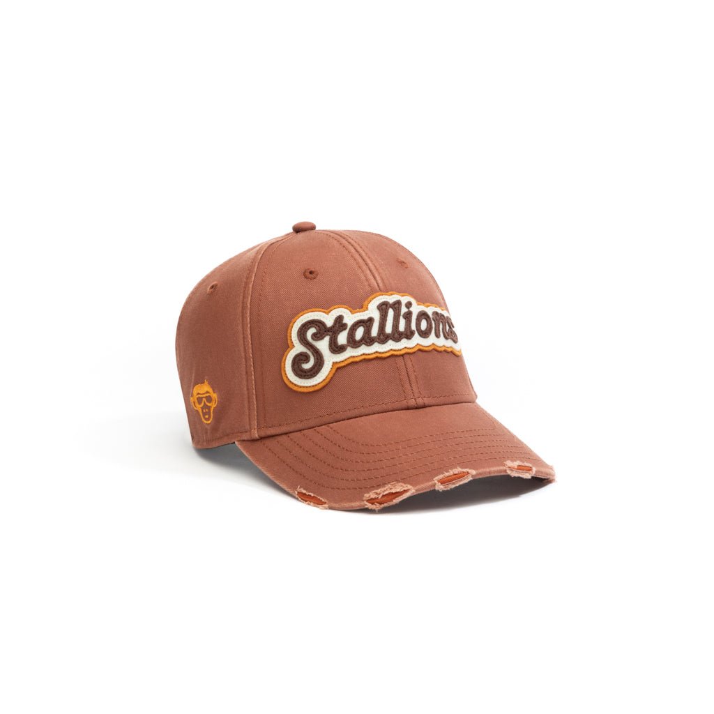 Stallions_By Bhaukal - Urban Monkey® - 25DCKSD004OR