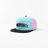 Summer of ‘69 - Urban Monkey® - UM22SC_005