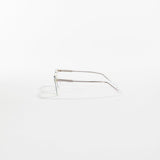 the analyst // 002 - Urban Monkey® - 2263 - C2
